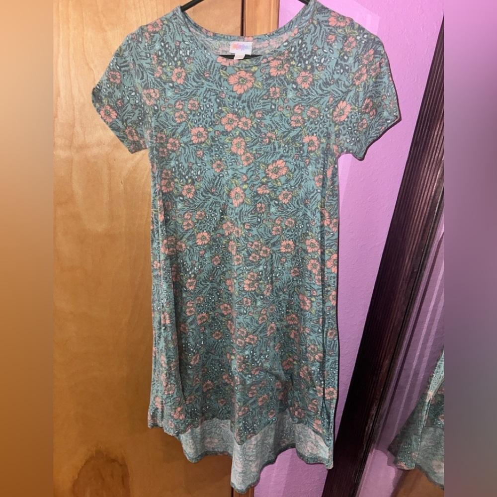 Lularoe Carley dress